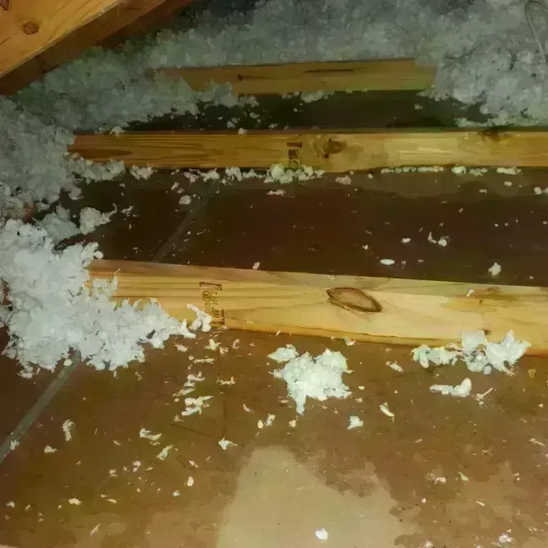 Attic Water Damage in Albany, CA