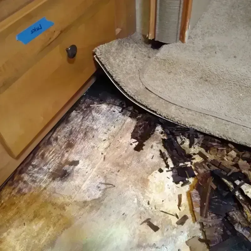 Wood Floor Water Damage in Albany, CA